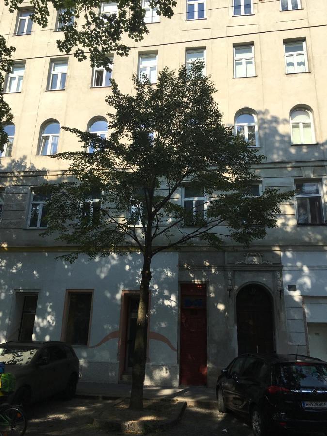 Max, Ruhige Sonnige Wohnung In Praternahe 维也纳 外观 照片
