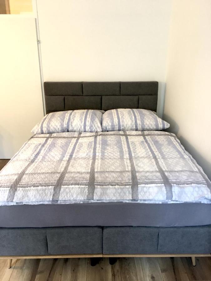 Max, Ruhige Sonnige Wohnung In Praternahe 维也纳 外观 照片